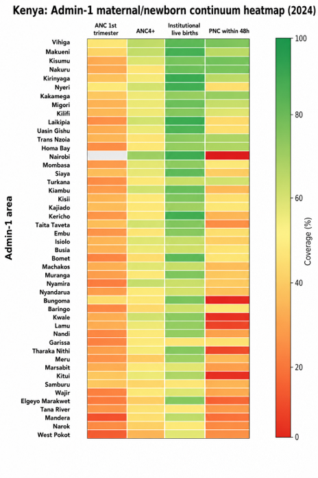 Maternal continuum heatmap by admin 1 area